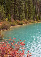 2024-10-12/b44e6cc1-001e-42e3-9ac1-5c581cff922d