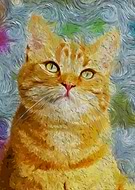 2024-10-13/8e4a833e-5ff3-43ab-9dac-28b471a31d1d