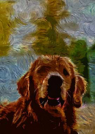 2024-10-13/9398c9fa-cc5a-486e-8b9d-6a34b76a9702