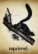 2024-10-14/9607a47b-a3df-4396-af0d-43d03da55ccf