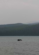 2024-10-14/b9ea8e6f-4723-4e01-a2b0-4c2170c044c2