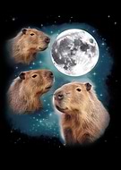 2024-10-16/56efa1c1-84a0-4d71-ae10-dcb1e3da41ca