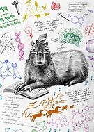 2024-10-18/257f4208-4785-46e6-a89d-f9f5ddc11cd3