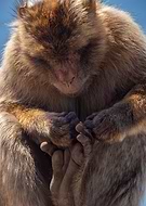 2024-10-18/2ed65ea1-b311-43ee-a45b-674dd62a38d0