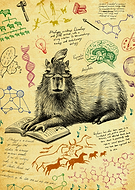 2024-10-18/9c4457a1-77fd-4b8e-adb7-7526acce7755