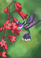 2024-10-19/7ee271b5-c0ef-49b2-864d-d919ce392f3c