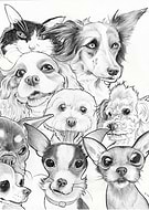 2024-10-20/0f2be8c9-266f-411f-920f-b767fa1f45a8