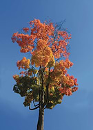 2024-10-20/822415a4-ccff-4bb9-8862-55bffcfb36e3