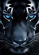 2024-10-21/56e17d42-c4c5-4f4d-aa33-be122e4e1a6e