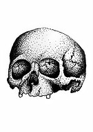 2024-10-21/c3bd4537-759d-4d67-ad89-37c685ab643a