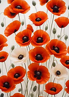 2024-10-24/9fddf490-4681-4c33-9ba8-7e665ed0a59a