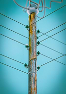 2024-10-25/4e7fae89-b66e-4870-9b67-2dce33cbd090