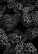 2024-10-25/51bada2d-46b0-45c7-a483-b5915542622f