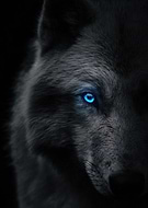 2024-10-28/c316a3b1-7c2a-42ab-8bcc-b452ecb55dd3