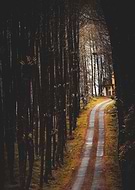 2024-10-29/389bbfe8-8485-4cd4-8e64-adbc548291ec