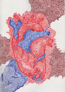 2024-11-02/524b653b-e6b6-4a04-a7ff-ea4ad72ba834