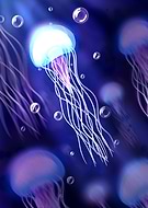 2024-11-03/8eb88fc2-6257-47eb-8f01-040f7cb7e7f7