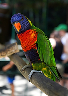 2024-11-04/17ccb971-9528-4775-b81a-19deef873a71