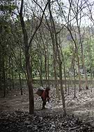 2024-11-08/473651ba-cb40-4627-a3e6-2646f33716fe