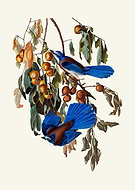 2024-11-08/49e94d13-0cf7-49af-89e2-5f589aade877