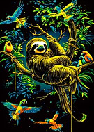 2024-11-09/617060d6-5f8f-4401-b6d6-b063bc6b7e51