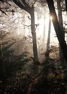 2024-11-10/0a959f9a-2433-40fd-b8a5-ef97b19b8fa2