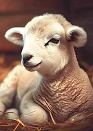 2024-11-10/11cea581-cd8a-4af4-b75b-bf95b2a15e80