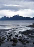 2024-11-11/1c34375a-6c94-46a6-8c7f-1859f9ac6ec1