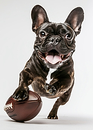 2024-11-11/77d4abc0-d494-47fd-b819-f24025fbd126