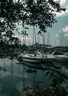 2024-11-11/bf253d82-4e00-4811-a1f2-f80a3be2a4a0