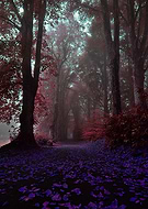 2024-11-13/afcb34e7-c8f9-48bd-92ac-cc35826806ed