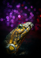 2024-11-13/be86867f-c04e-4785-be16-bcc4bc874afe