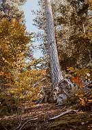 2024-11-13/ce08328c-243d-466c-8dbc-2e994e2ca23e