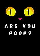 2024-11-14/349aa71c-a9a2-4612-8019-bed3c34d1500