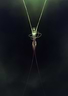 2024-11-15/5d526bd6-0545-4ac2-816e-539cd60f9b3c