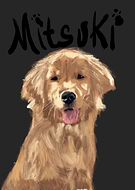 2024-11-16/0c9d5594-78d6-4ef3-a2da-a7e5c008b684