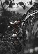 2024-11-16/7c599baf-84e7-4f98-b27e-1c10b061181f