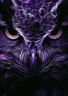 2024-11-18/0f09c608-2275-4d44-b5b8-fc858079a52e