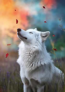 2024-11-18/21887b5e-deae-43ab-9534-1a145b738ede