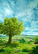 2024-11-18/33390df8-0bfa-4087-b927-2a186d22432a