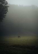 2024-11-18/a22e6fda-0062-4693-ba52-a51b94255bbb