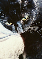 2024-11-18/de6ee11f-6a59-44e9-97af-911566d84f2e