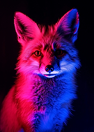 2024-11-18/f59ea76d-40ca-478f-91a2-646182e0ee66