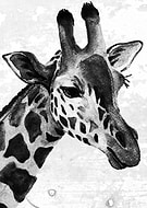 2024-11-19/4662b4fe-383d-467c-b800-e65dbb897cec