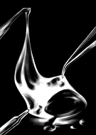 2024-11-19/7519a218-1f90-4dcf-bb07-b3505b87cecb