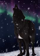 2024-11-20/87ea409d-a6d8-4ee2-8640-c005ae6a3384