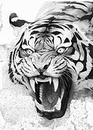 2024-11-20/8e119257-d52f-4a1a-a46f-75bc01321100