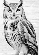 2024-11-20/add5fa35-880a-4a9c-8797-ca0b37fbb66b