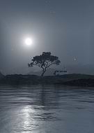 2024-11-21/19c0f2ed-7a85-4ffb-a493-3ac2e5094856