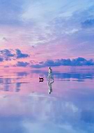 2024-11-22/62b4df2c-83ef-4ea9-a86d-b665a105f3d6